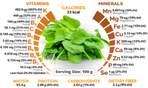 Nutrition Table of Spinach 